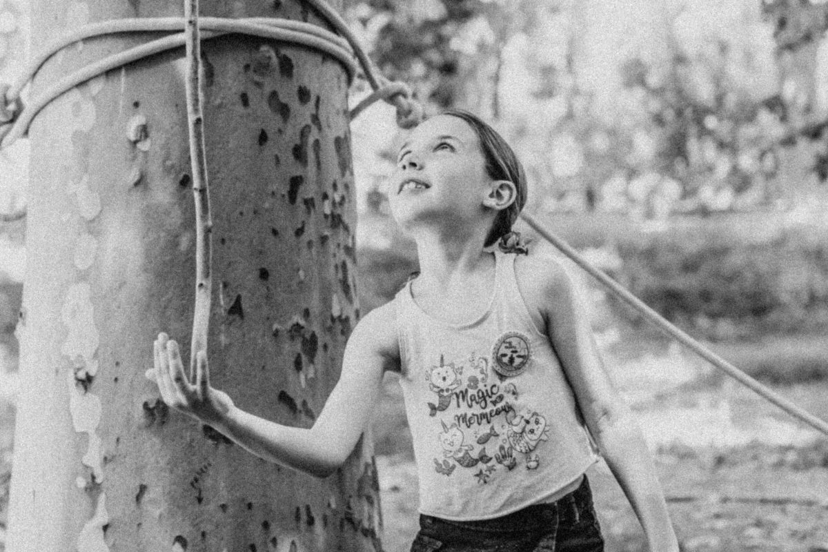 Mans a les branques (54)